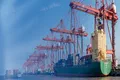 Shanghai Port