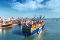 Shenzhen Port